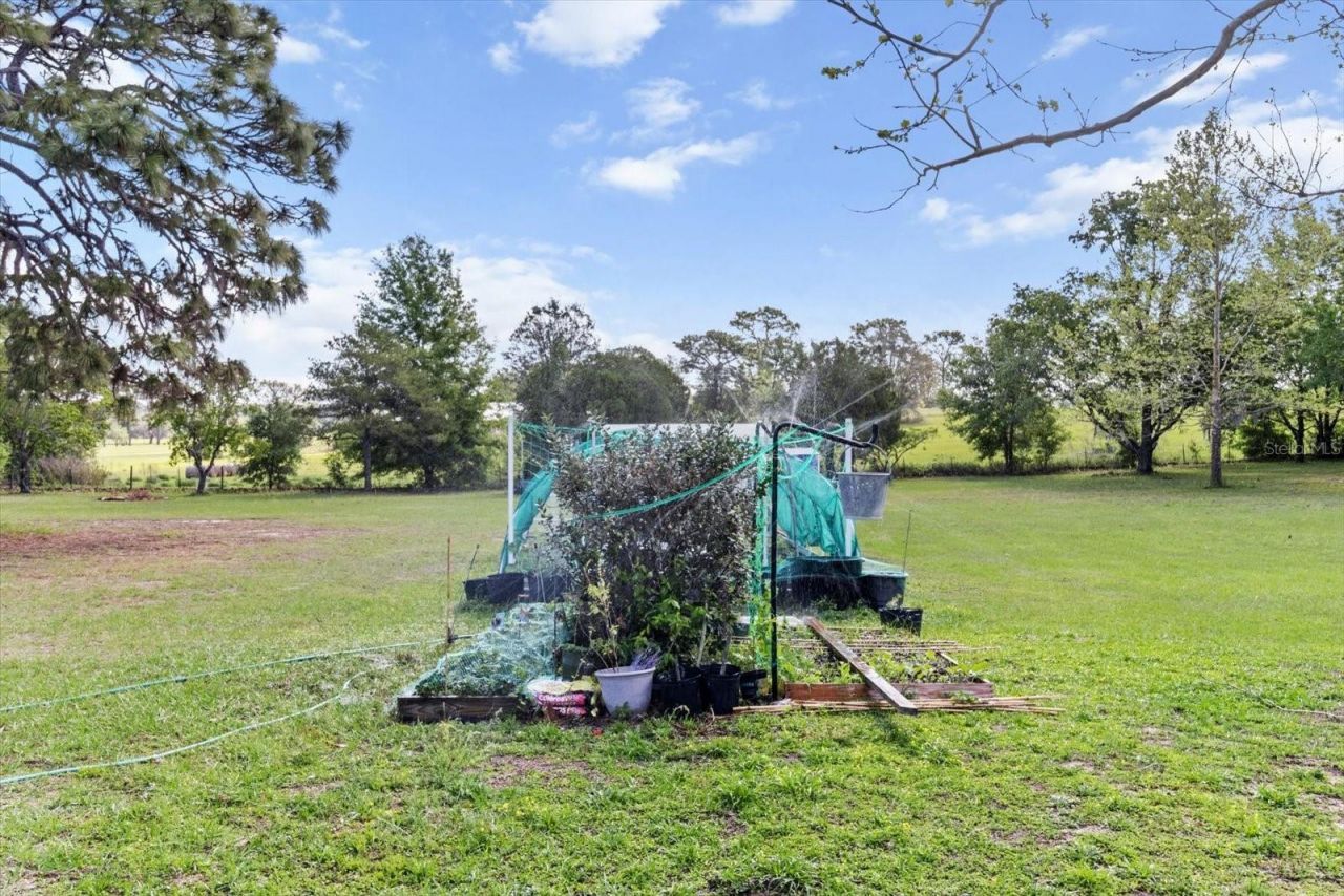 8921 S Thoroughbred Point, Inverness, FL 34452 Photo