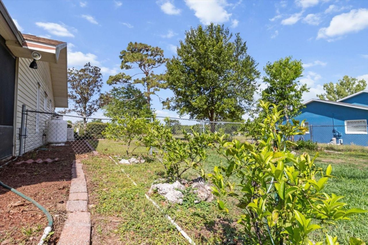 8921 S Thoroughbred Point, Inverness, FL 34452 Photo