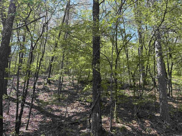 Wafer Cir, Hot Springs, AR 71901