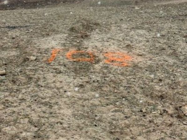 2249 Gidran Drive, Chittenango, NY 13037