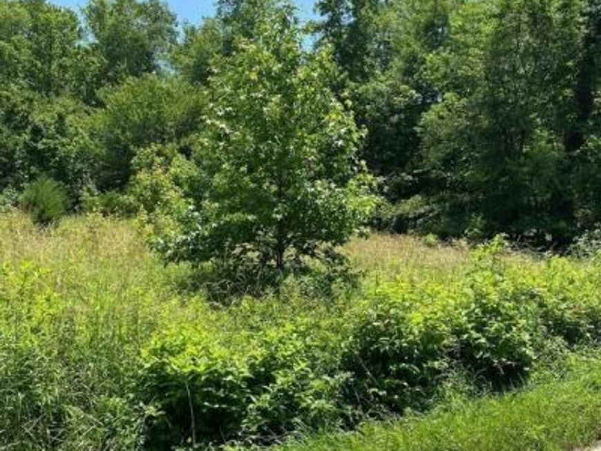 16960 Livingston Road, Accokeek, MD 20607 Main Photo