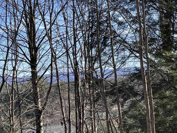 4 & 5 Haley Drive, Unit Lot 4 & Lot 5, Hyde Park, VT 05655