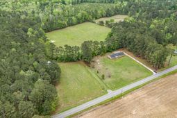 1315 Sioux Swamp Dr. photo 4