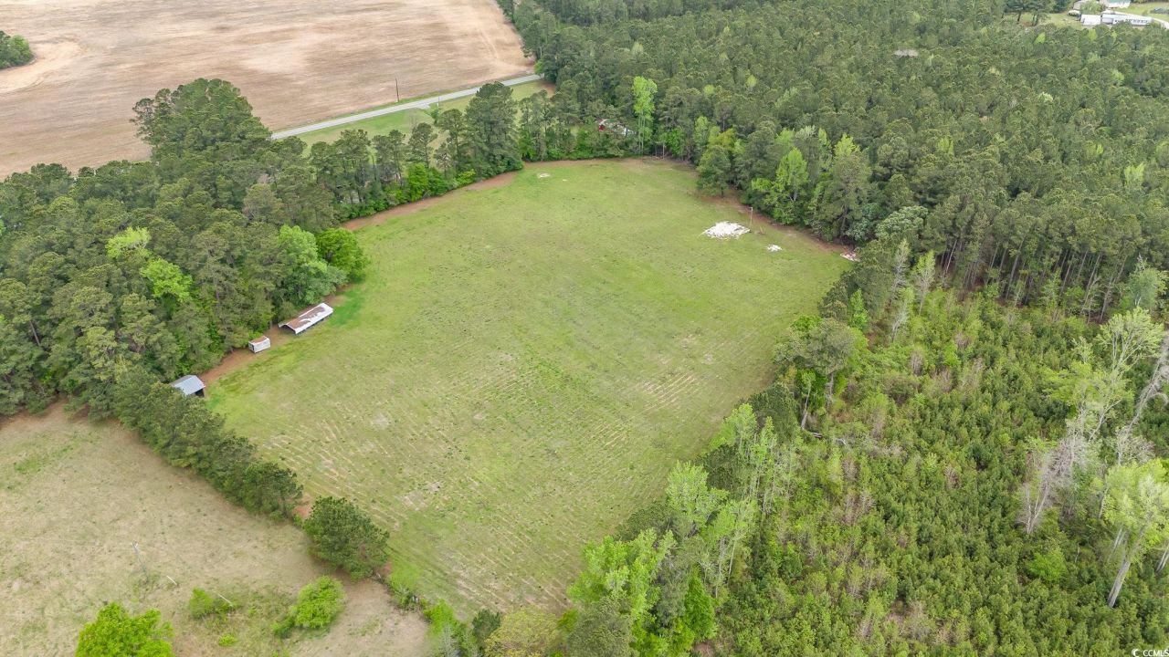 1315 Sioux Swamp Dr. Photo 30