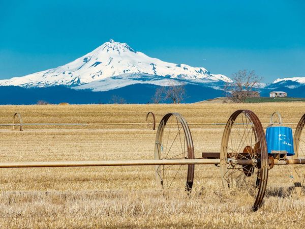 7626 SW Bear Drive, Culver, OR 97734