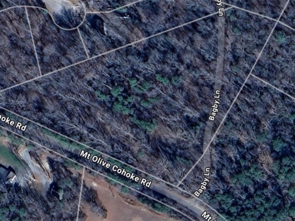 1979 Mount Olive Cohoke Road, King William, VA 23086