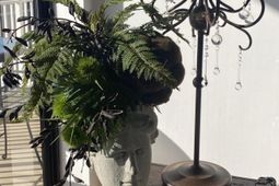 330 Concord Street photo 4