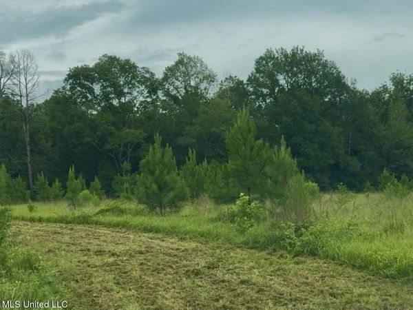 Us-51, Crystal Springs, MS 39059