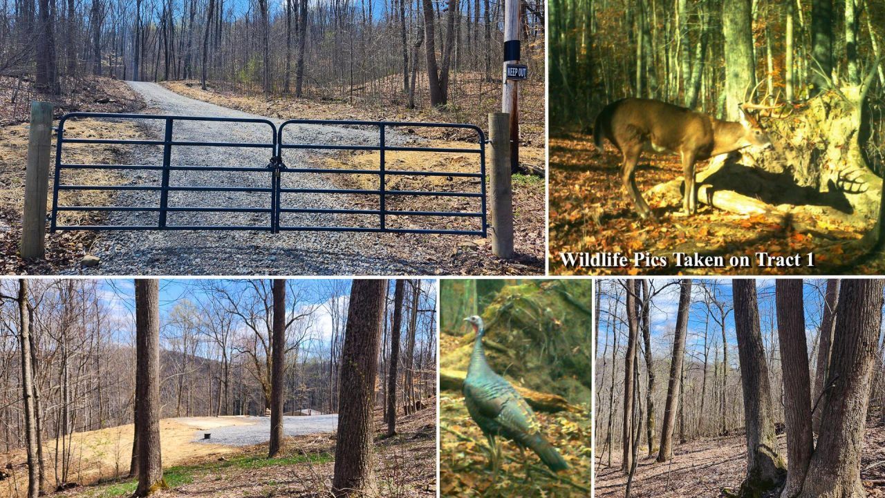 0 Pike Lake Rd Road, Lot #(Tract 2 P, Bainbridge, OH 45612 Main Photo