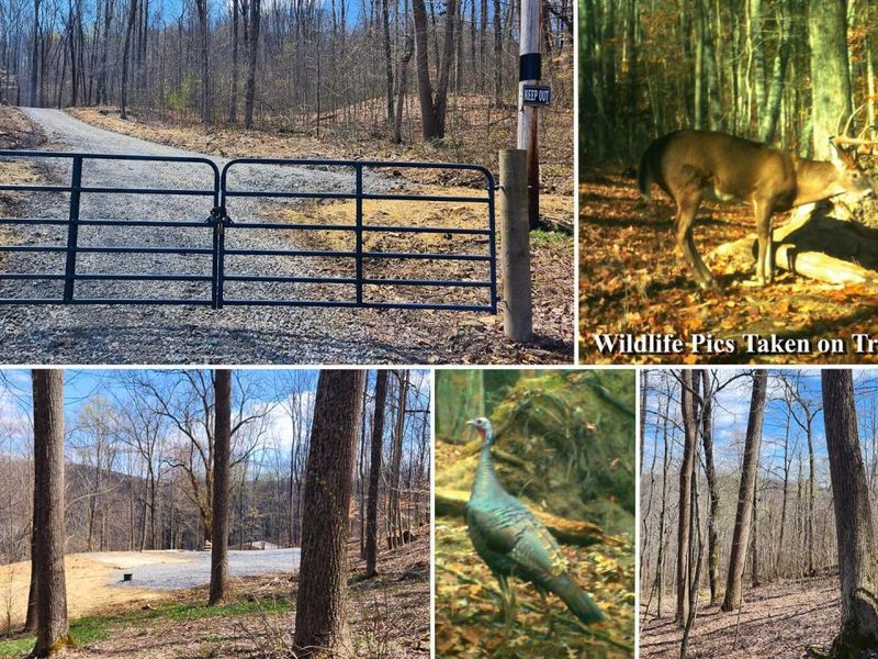 0 Pike Lake Rd Road, Unit (Tract 2 P, Bainbridge, OH 45612 Photo 1