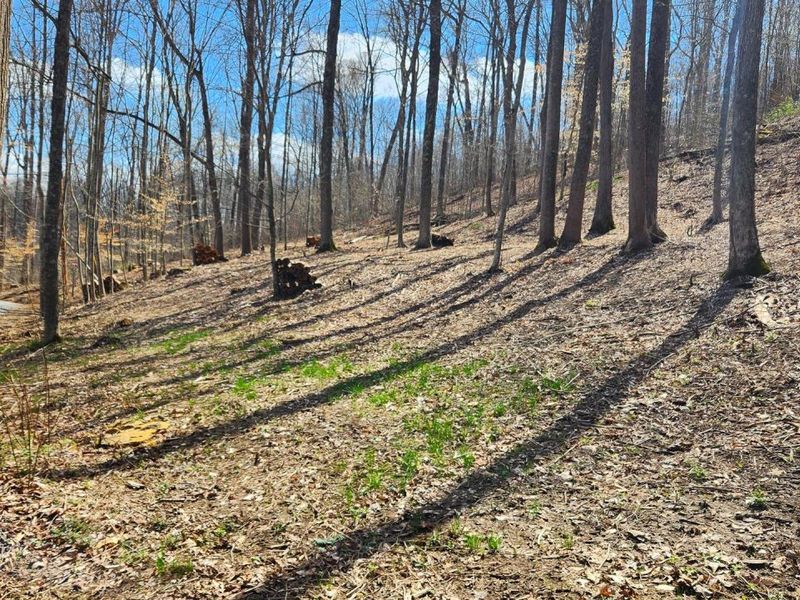 0 Pike Lake Rd Road, Unit (Tract 2 P, Bainbridge, OH 45612 Photo 14