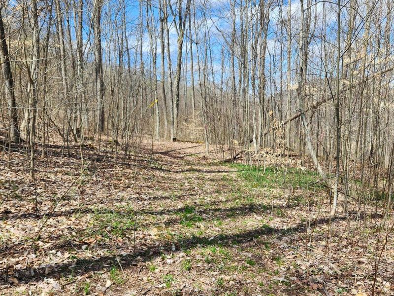 0 Pike Lake Rd Road, Unit (Tract 2 P, Bainbridge, OH 45612 Photo 15