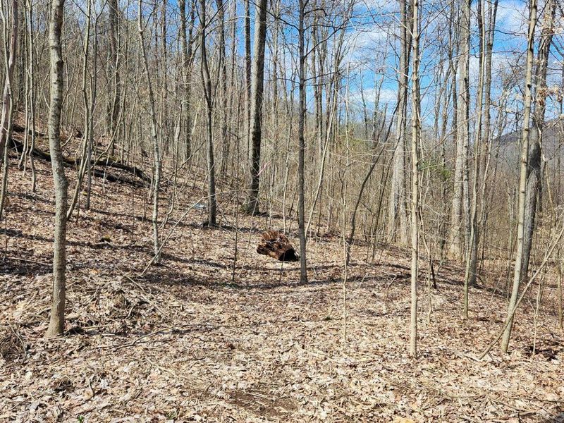 0 Pike Lake Rd Road, Unit (Tract 2 P, Bainbridge, OH 45612 Photo 17