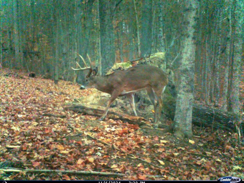 0 Pike Lake Rd Road, Unit (Tract 2 P, Bainbridge, OH 45612 Photo 18