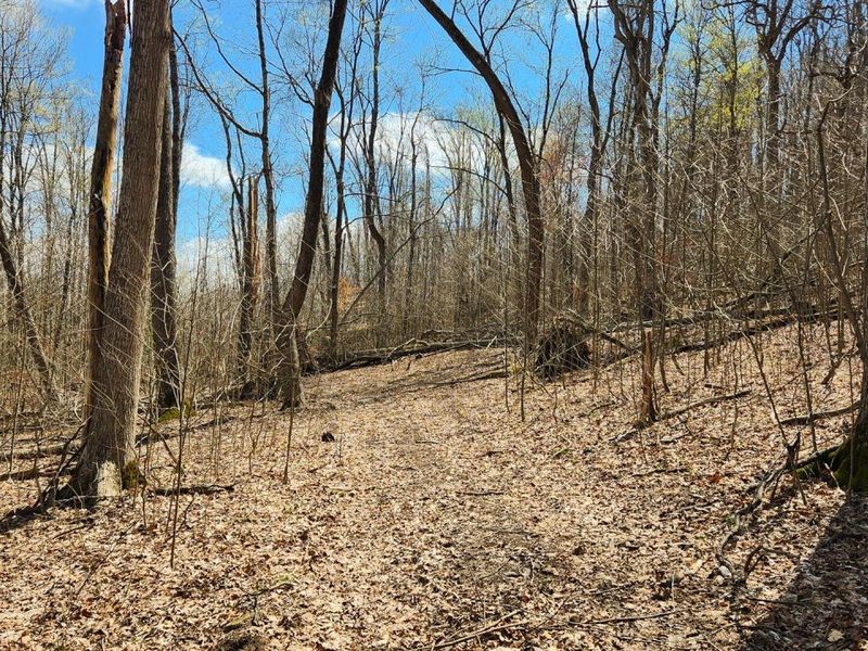 0 Pike Lake Rd Road, Unit (Tract 2 P, Bainbridge, OH 45612 Photo 2