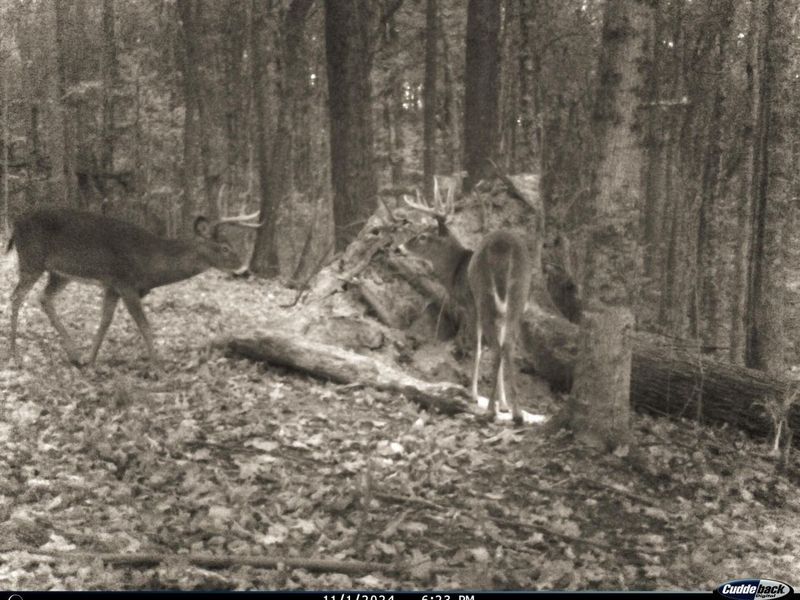 0 Pike Lake Rd Road, Unit (Tract 2 P, Bainbridge, OH 45612 Photo 20