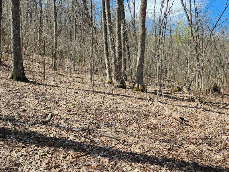 0 Pike Lake Rd Road, Unit (Tract 2 P, Bainbridge, OH 45612 Photo 21