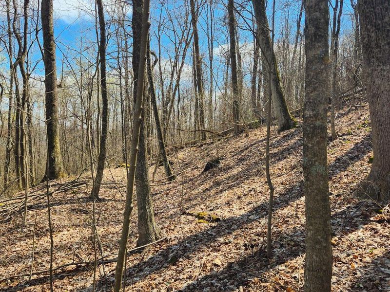 0 Pike Lake Rd Road, Unit (Tract 2 P, Bainbridge, OH 45612 Photo 22