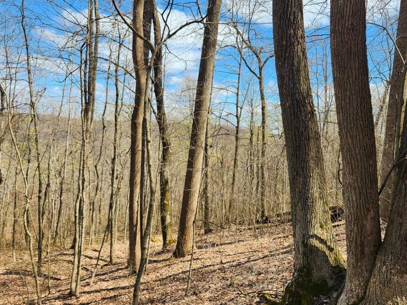 0 Pike Lake Rd Road, Unit (Tract 2 P, Bainbridge, OH 45612 Photo 23