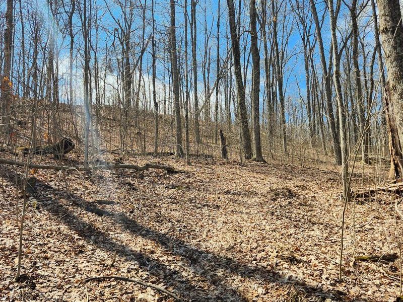 0 Pike Lake Rd Road, Unit (Tract 2 P, Bainbridge, OH 45612 Photo 25