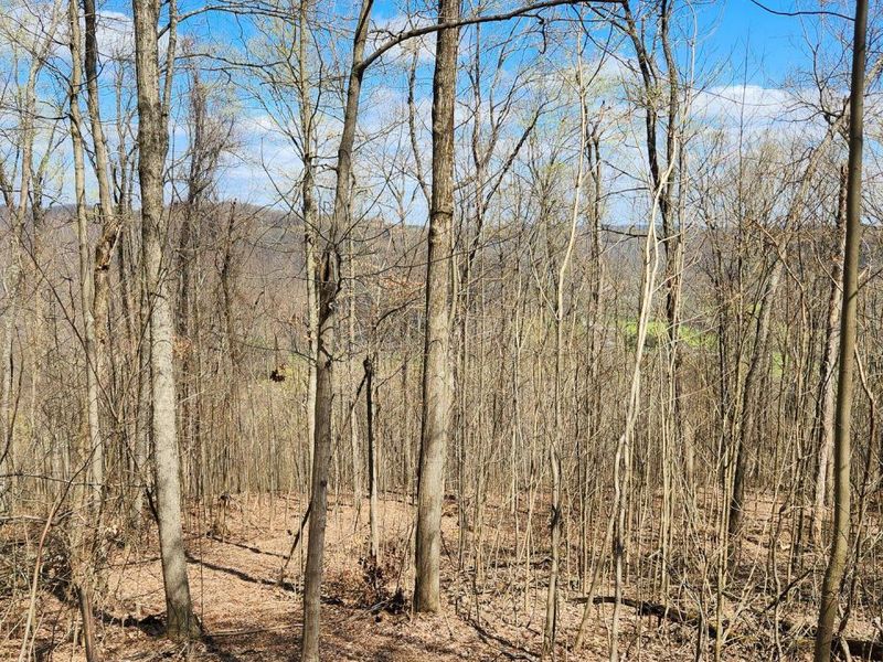 0 Pike Lake Rd Road, Unit (Tract 2 P, Bainbridge, OH 45612 Photo 26