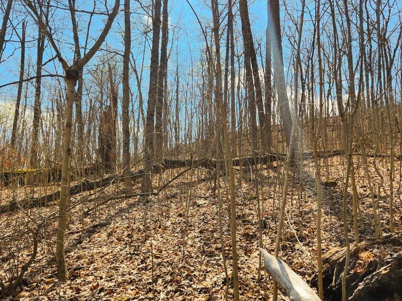 0 Pike Lake Rd Road, Unit (Tract 2 P, Bainbridge, OH 45612 Photo 27