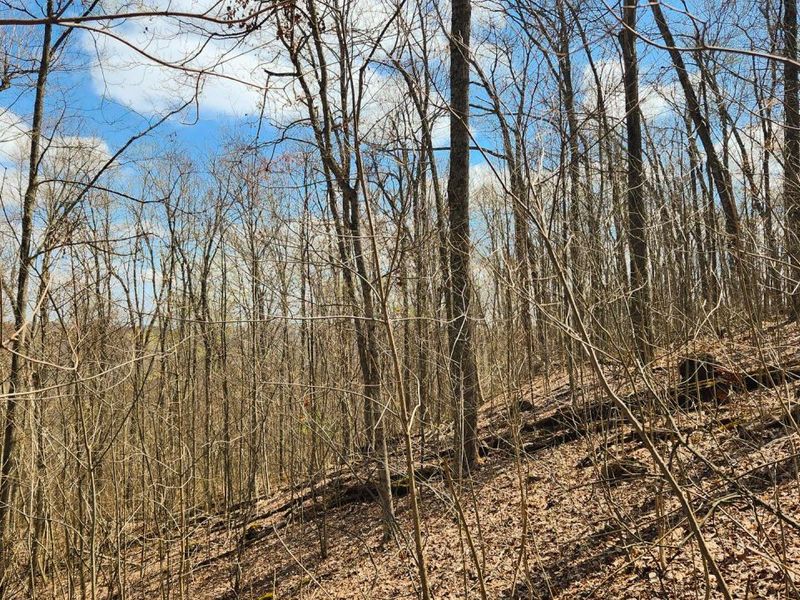 0 Pike Lake Rd Road, Unit (Tract 2 P, Bainbridge, OH 45612 Photo 28