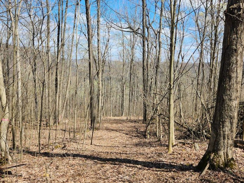 0 Pike Lake Rd Road, Unit (Tract 2 P, Bainbridge, OH 45612 Photo 3