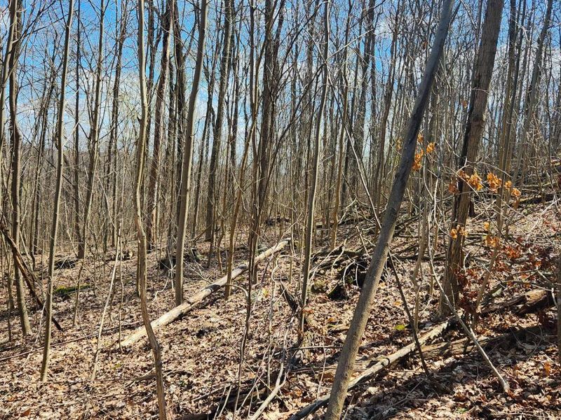 0 Pike Lake Rd Road, Unit (Tract 2 P, Bainbridge, OH 45612 Photo 30