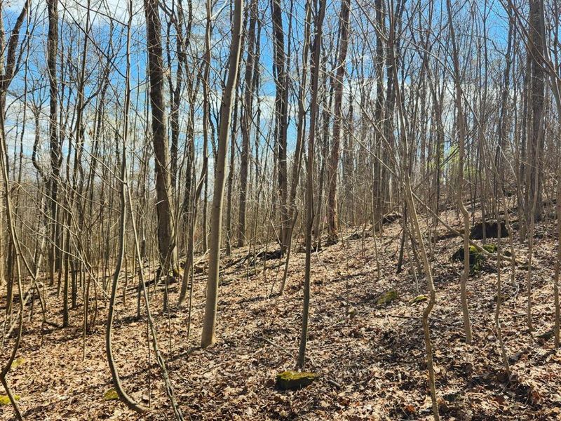 0 Pike Lake Rd Road, Unit (Tract 2 P, Bainbridge, OH 45612 Photo 31