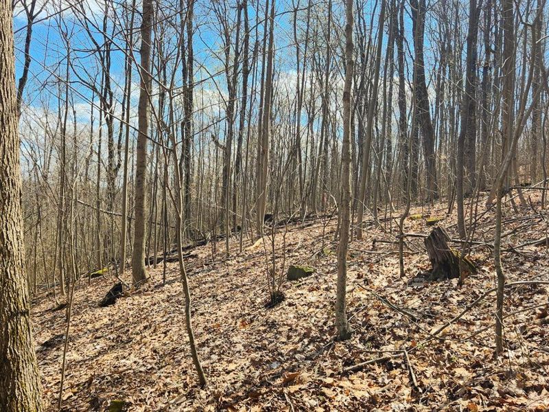 0 Pike Lake Rd Road, Unit (Tract 2 P, Bainbridge, OH 45612 Photo 32