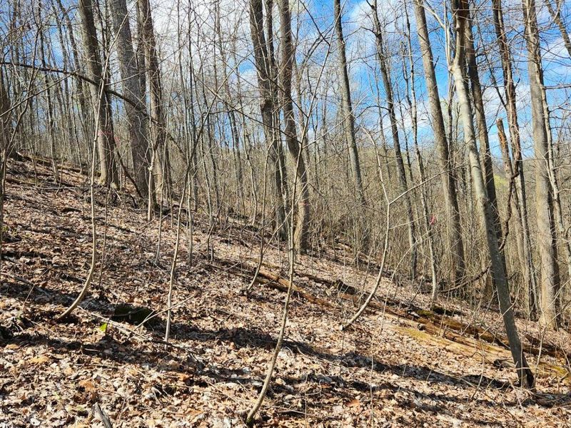 0 Pike Lake Rd Road, Unit (Tract 2 P, Bainbridge, OH 45612 Photo 34