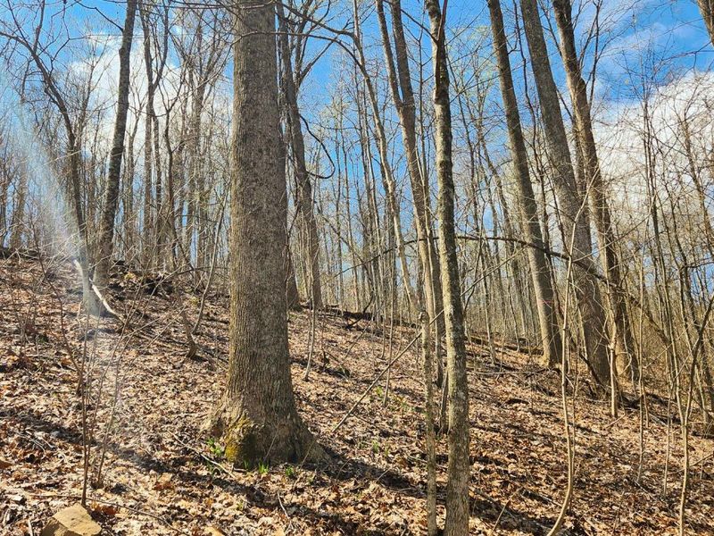 0 Pike Lake Rd Road, Unit (Tract 2 P, Bainbridge, OH 45612 Photo 35