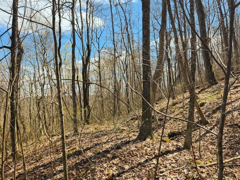 0 Pike Lake Rd Road, Unit (Tract 2 P, Bainbridge, OH 45612 Photo 36