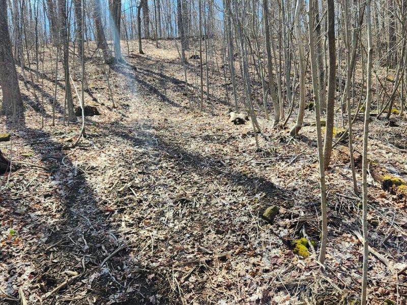 0 Pike Lake Rd Road, Unit (Tract 2 P, Bainbridge, OH 45612 Photo 37