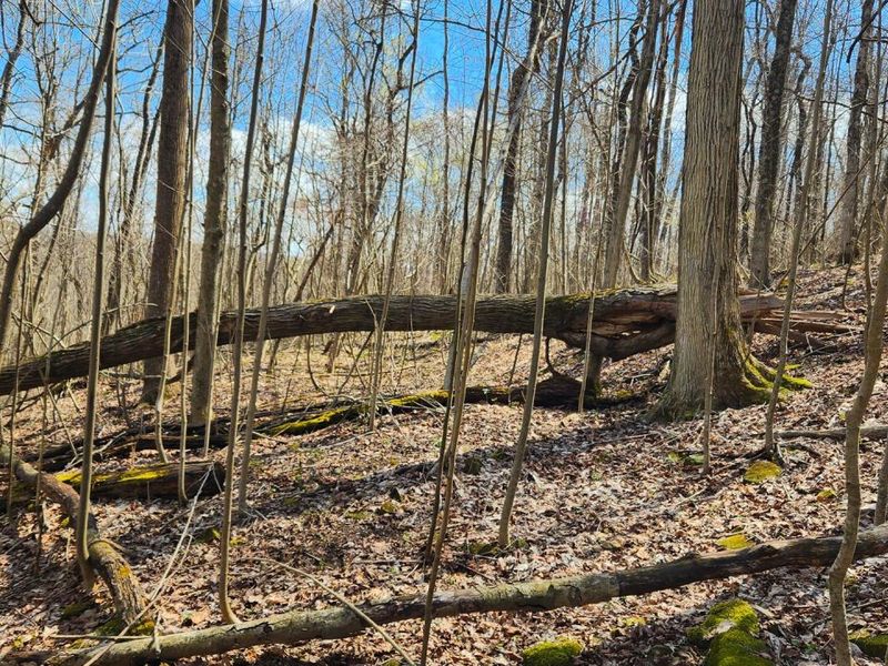 0 Pike Lake Rd Road, Unit (Tract 2 P, Bainbridge, OH 45612 Photo 38