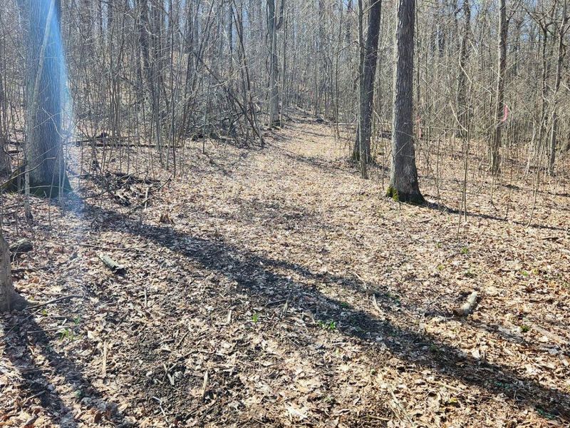 0 Pike Lake Rd Road, Unit (Tract 2 P, Bainbridge, OH 45612 Photo 39