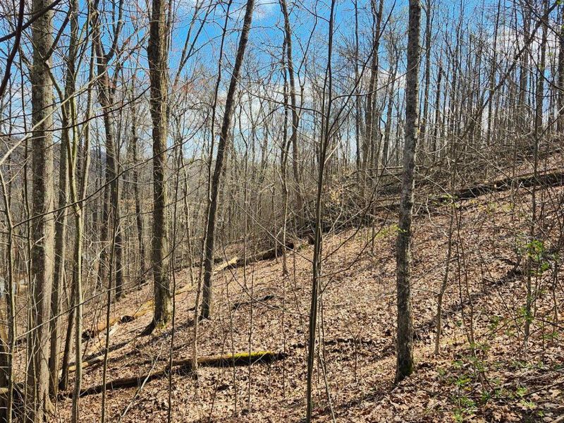 0 Pike Lake Rd Road, Unit (Tract 2 P, Bainbridge, OH 45612 Photo 40