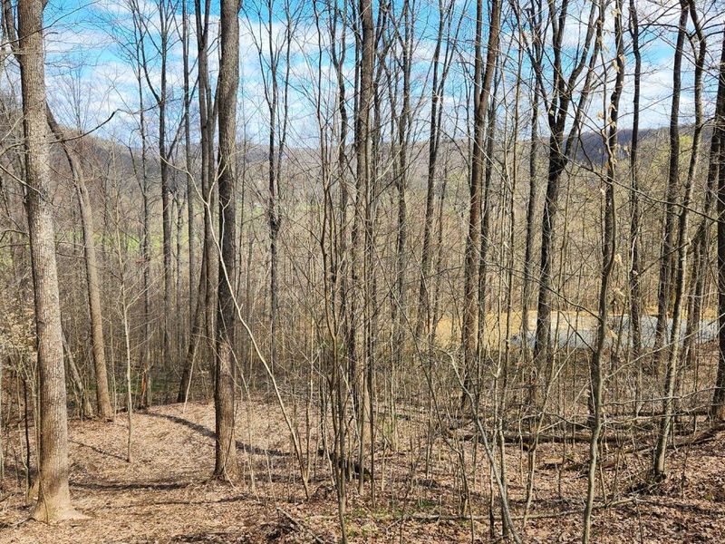 0 Pike Lake Rd Road, Unit (Tract 2 P, Bainbridge, OH 45612 Photo 41