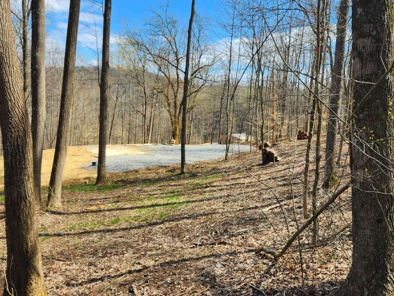 0 Pike Lake Rd Road, Unit (Tract 2 P, Bainbridge, OH 45612 Photo 42