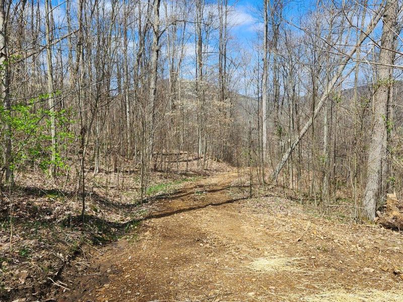 0 Pike Lake Rd Road, Unit (Tract 2 P, Bainbridge, OH 45612 Photo 43