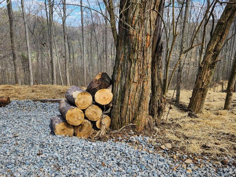 0 Pike Lake Rd Road, Unit (Tract 2 P, Bainbridge, OH 45612 Photo 49