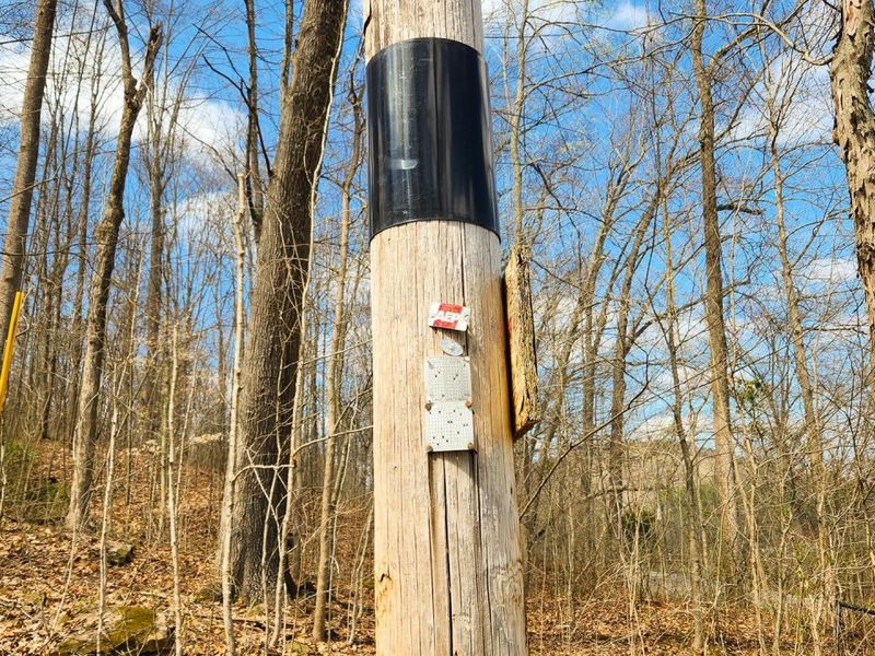 0 Pike Lake Rd Road, Unit (Tract 2 P, Bainbridge, OH 45612 Photo 5