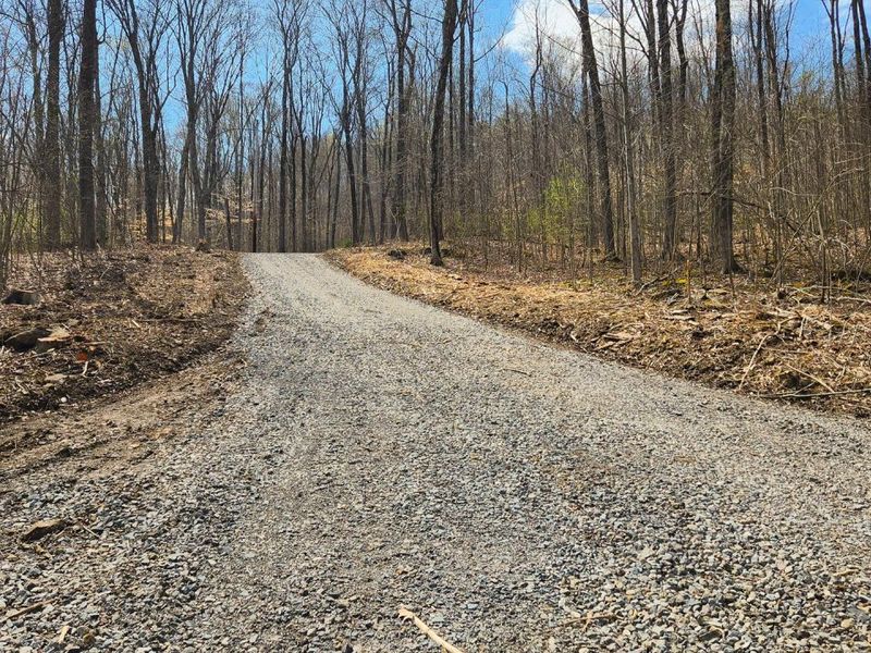 0 Pike Lake Rd Road, Unit (Tract 2 P, Bainbridge, OH 45612 Photo 6