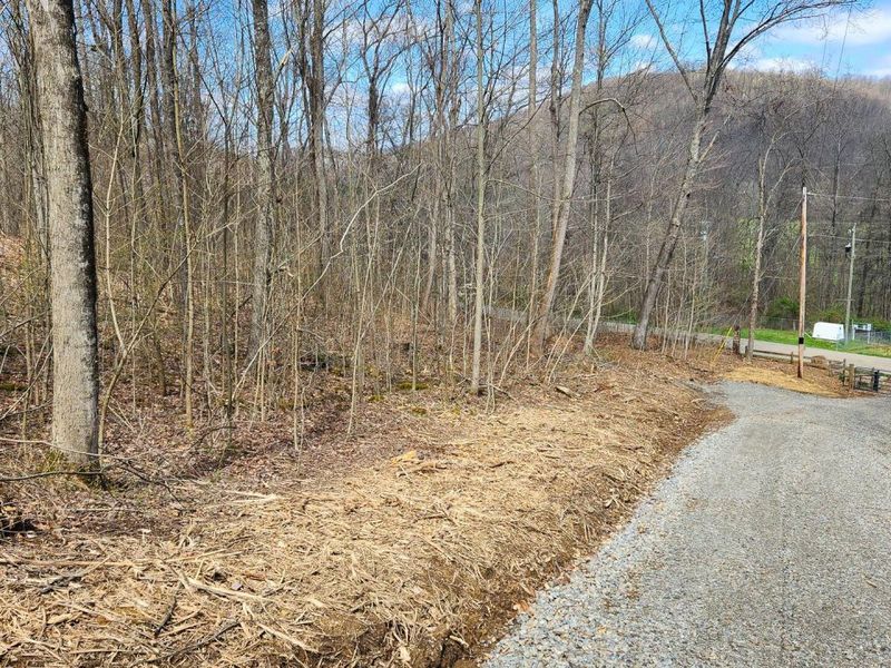 0 Pike Lake Rd Road, Unit (Tract 2 P, Bainbridge, OH 45612 Photo 7