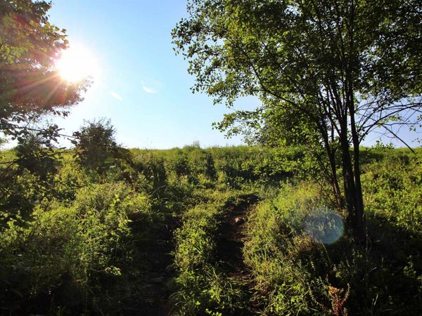 27 Faywood Road, Unit Lot 5, Grand Isle, VT 05458