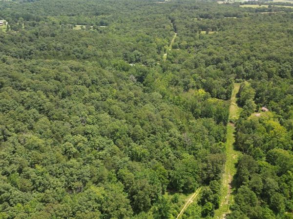 881 Driftwood Drive, Pineville, AR 72566