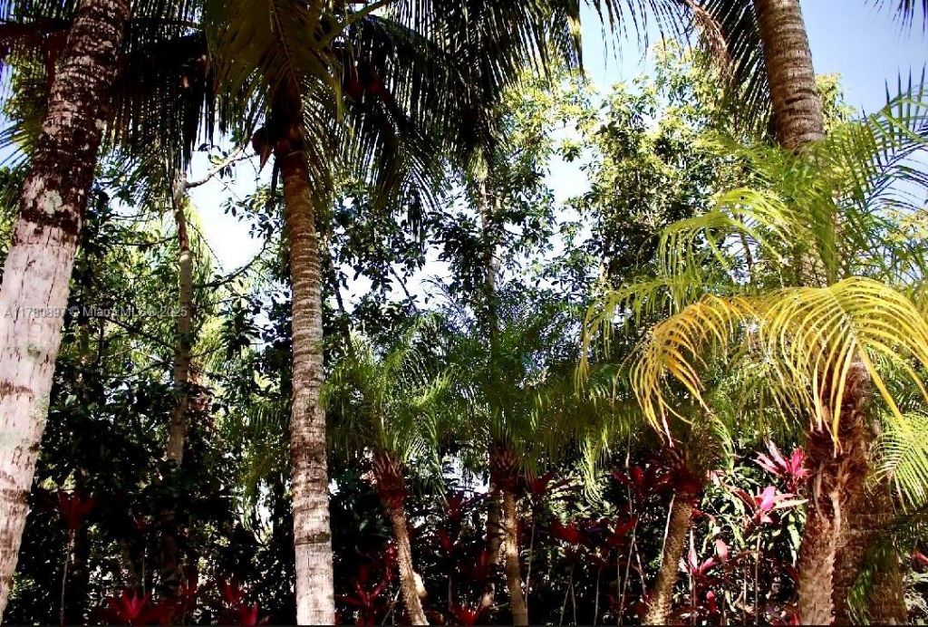 31050 SW 193rd Ave, Homestead, FL 33030 Photo