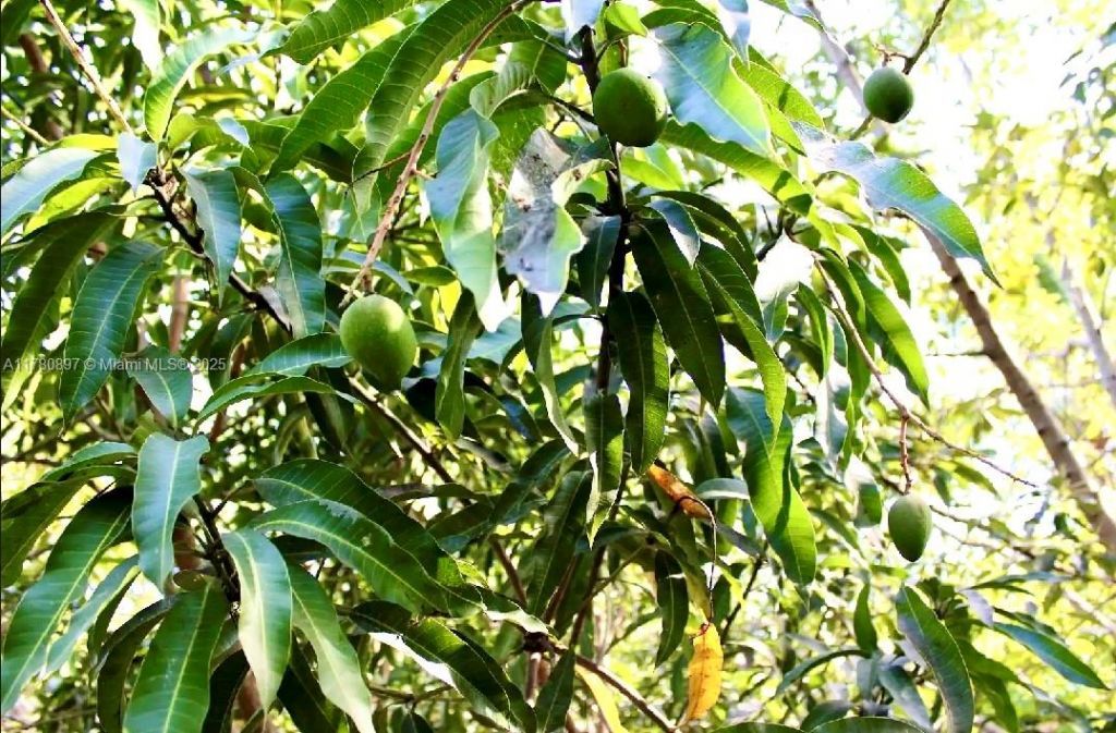 31050 SW 193rd Ave, Homestead, FL 33030 Photo