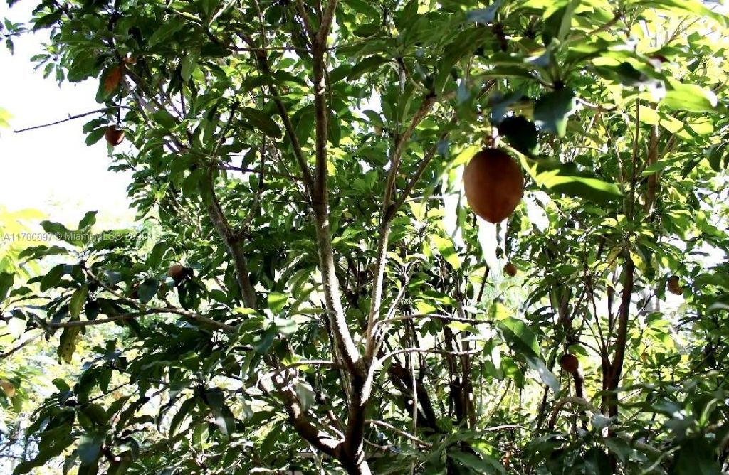 31050 SW 193rd Ave, Homestead, FL 33030 Photo